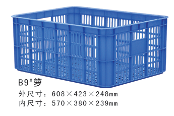 B9#香蕉视频久久周转箩