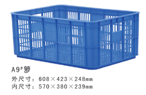A9#香蕉视频久久周转箩